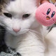 Illustration for article titled Cats Love Yarn Kirby